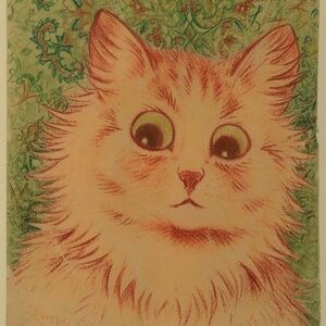 Meet your Posher, Wiyaka